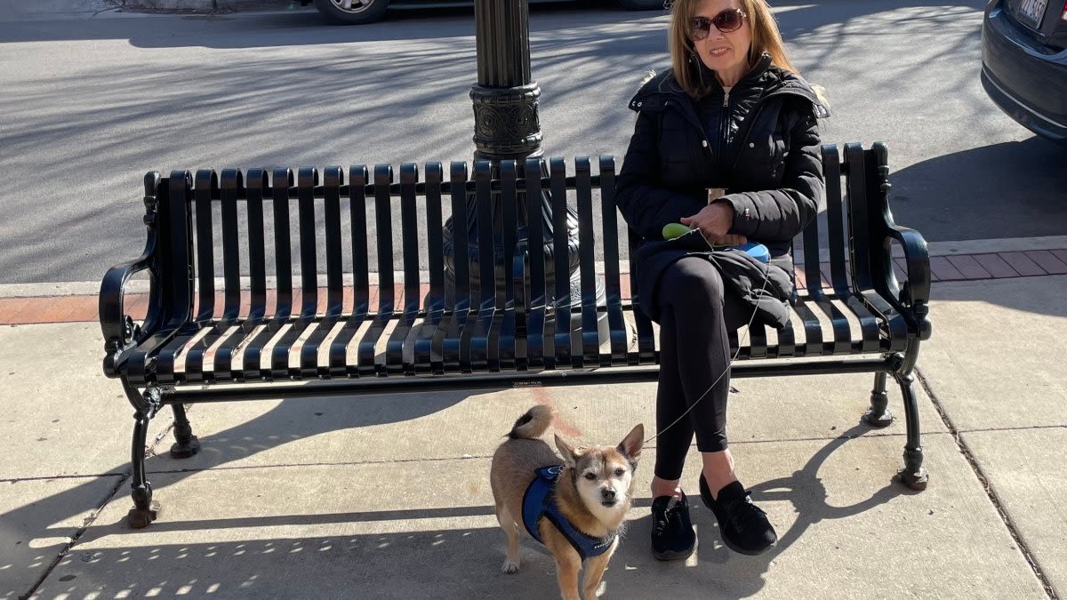 Woman wounded in stabbing while walking her dog near Union Station feeling 'lucky to be alive'