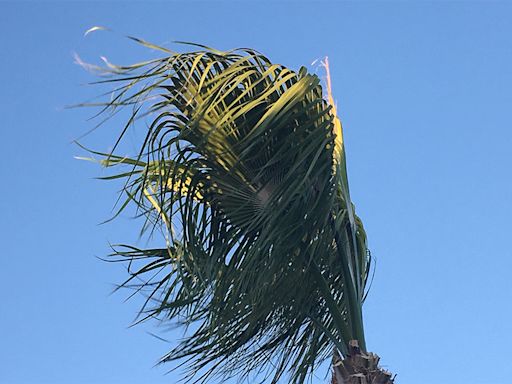 Powerful winds expected to blow into Las Vegas valley over weekend