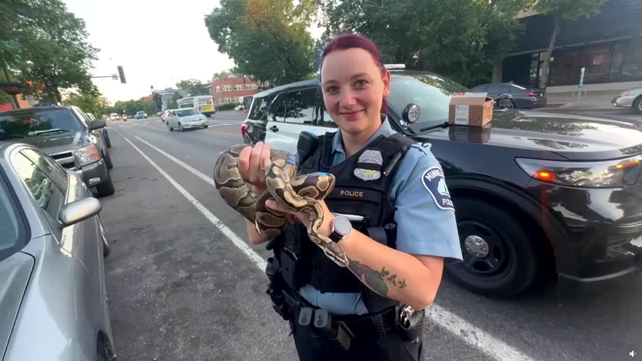 Large snake left behind in rideshare vehicle, MPD recovers it: Video