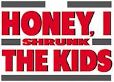 Honey, I Shrunk the Kids (franchise)