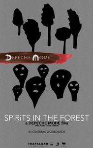 Spirits in the Forest