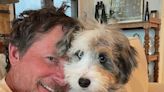 Michael J. Fox shares cute photo of his new dog Blue: 'Welcome to your new home'