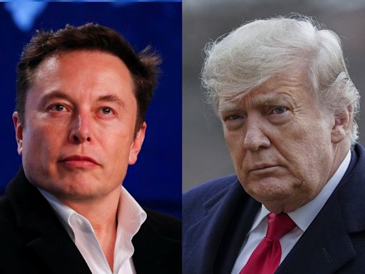 Elecciones en Estados Unidos: Elon Musk aportará 45 millones de dólares por mes para la campaña de Donald Trump