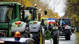 Agricultores y granjeros, en pie de guerra en Países Bajos