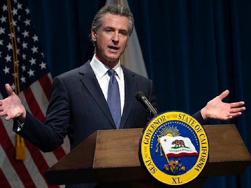 Gavin Newsom's four-word riposte to Elon Musk