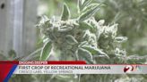 Cresco Labs preparing first batch of marijuana for adult-use market