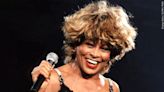 City of Brownsville plans statue to honor Tina Turner - WBBJ TV