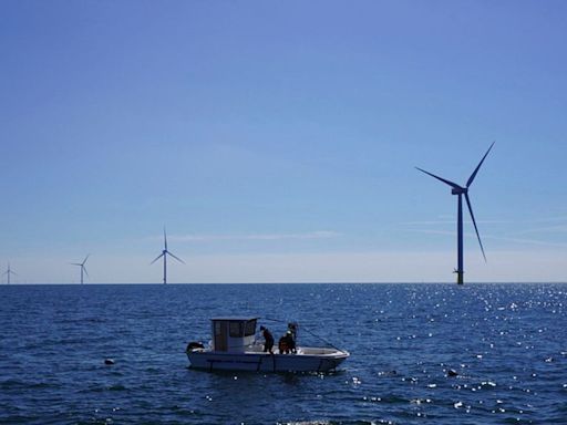 Clean energy, fresh mussels: Scandinavia’s experiment to harvest seafood and wind power together