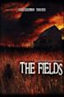 The Fields