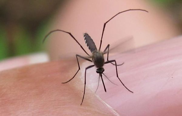 Second pool tests positive for West Nile Virus in same Austin zip code