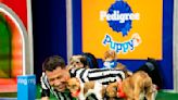 'Puppy Bowl' celebrates a big anniversary this year, one that shelter and rescue pups will cheer