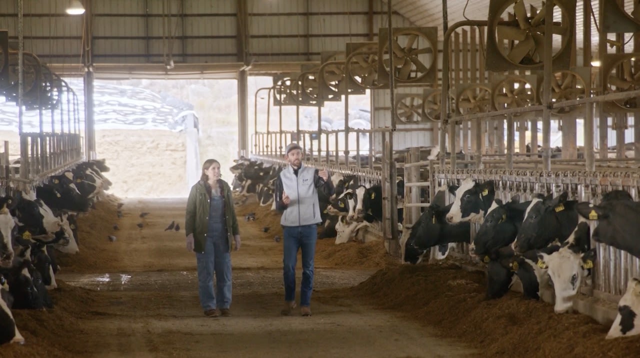 ‘SNL’ star visits Central NY farm for new TV show ‘Dairy Diaries’