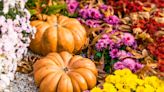 12 Fall Garden Ideas That Will Give Your Landscape Autumnal Charm