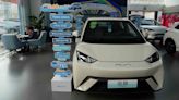 Small, well-built Chinese EV called the Seagull poses big threat US auto industry