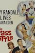 The Brass Bottle (1964 film)