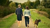 Expert dog-walking advice to ensure your best friend stays healthy