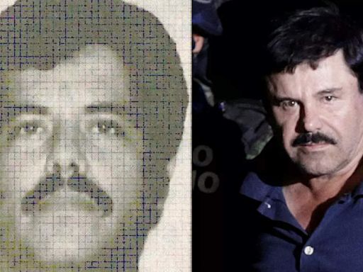 How US tricked and captured infamous Mexican drug lord 'El Mayo' - Times of India