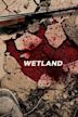 Wetland (film)