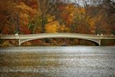 Bow Bridge (Central Park)