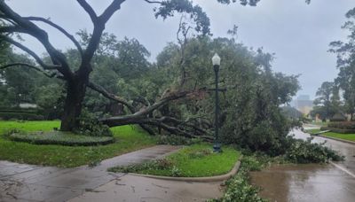 Hurricane Beryl’s path over west side of Houston area made it a particularly damaging Category 1 hurricane | Houston Public Media