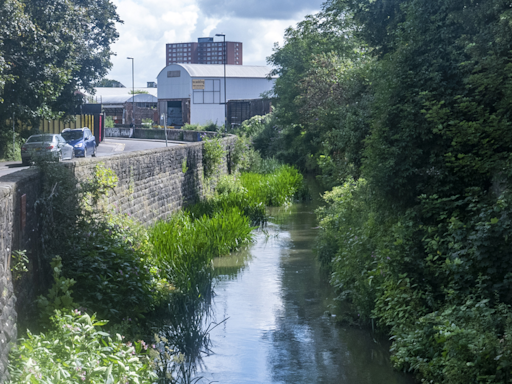 "Should be a limit" as hundreds of student homes could be built in St Judes