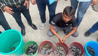 Delhi Police rescue 100 live turtles; nab smuggler in east Delhi