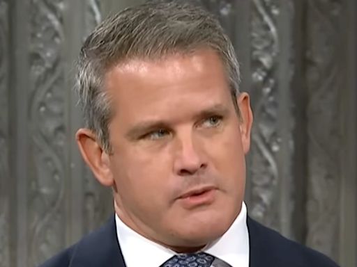 Adam Kinzinger Shares Unlikely 'Sign' He'll Be Looking For In Trump's RNC Speech