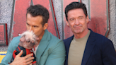 Ryan Reynolds’ sweet message as he embraces Britain’s ugliest dog on Deadpool red carpet