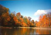 Alum Creek State Park