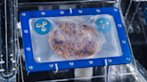 Smithsonian Displays Space-Baked Cookie That Was Preserved From ISS