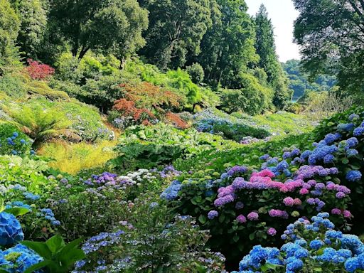 We visit the Cornish garden named among top ten best in the world