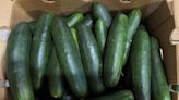 Cucumbers sent to Maryland, Virginia and a dozen others states recalled over salmonella concerns - WTOP News