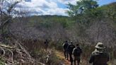 Operação descobre casa utilizada para armazenamento de madeira ilegal no Cerrado piauiense