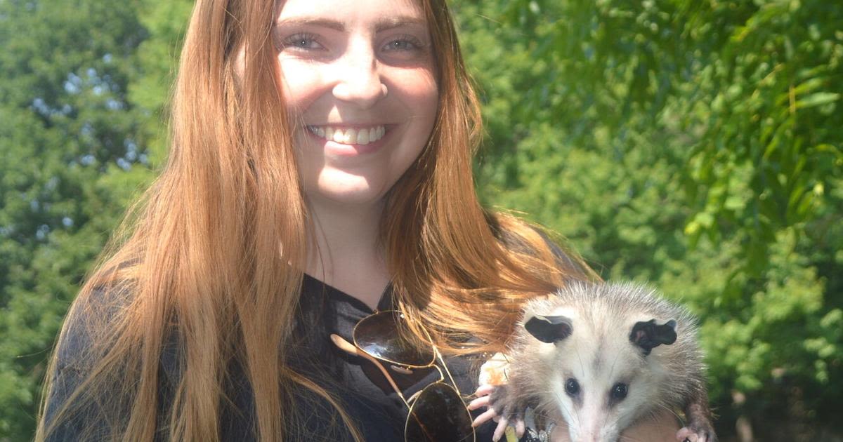 Help for small wild animals: Family Fun and Awareness Day in Belmont