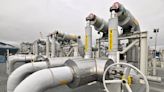 Japan’s Itochu in Talks to Buy LNG From Canadian Project