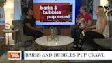 Enjoy the Reno Riverwalk with your furry friend at the Barks and Bubbles Pup Crawl