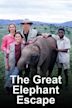 Free Elli – Die Rettung des Elefantenbabys