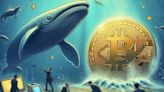 Bitcoin Falls Below $63K as Whale Transactions Drop 42%, Market Sentiment Shifts - EconoTimes