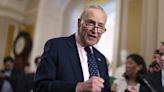 Senate downs border bill for second time