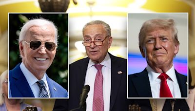 Schumer silent on Biden oil purchase after blasting Trump for 'bailout for big oil'