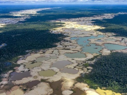 Mercurio, deforestación y caos social: los impactos devastadores de la minería en Perú