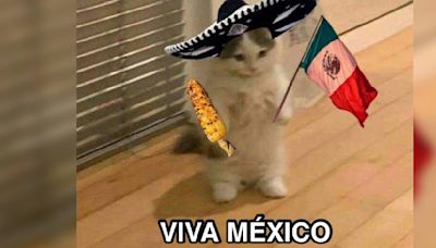 ¡Viva México! Internautas comparten divertidos memes para celebrar el Día de la Independencia