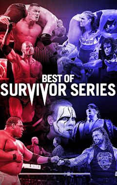 The Best of WWE: Best of Survivor Series