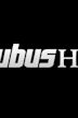 Incubus : HQ Live