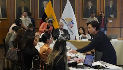 Interpelante de canciller Gabriela Sommerfeld habla de conflicto de intereses y lucro familiar en juicio político