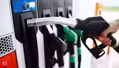 PESO to formulate safety norms to allow petrol pumps within 30-50 mtrs of habitation: Piyush Goyal