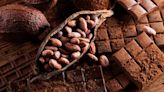La historia del chocolate: de bebida sagrada al alimento que le hizo ganar la Segunda Guerra Mundial a los aliados