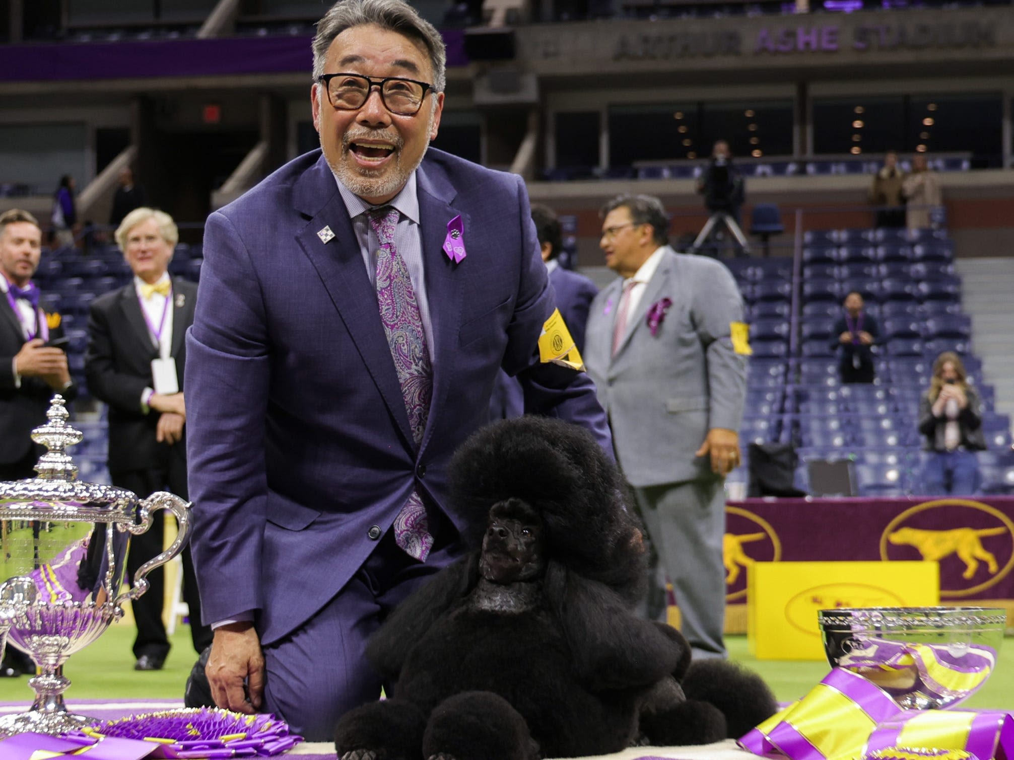 The winner of the Westminster dog show the year you were born