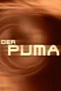 Der Puma - Kämpfer mit Herz