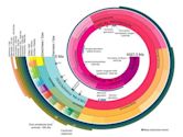 Geologic time scale